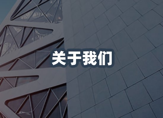 专业团队