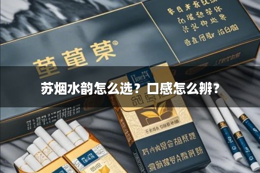 苏烟水韵怎么选？口感怎么辨？